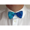 blue__aqua_r_rt_8799